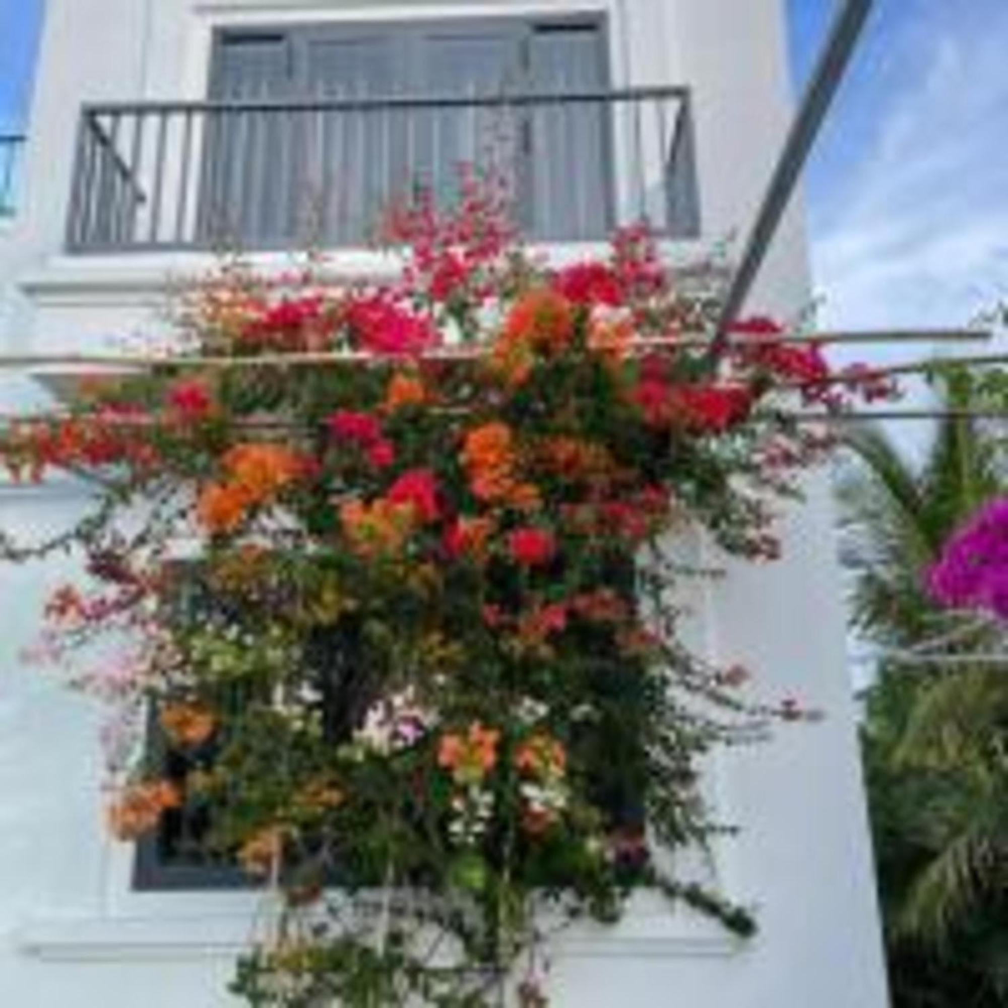 Duc Luu Quang Hotel Binh Thuan Tuy Phong Exterior photo